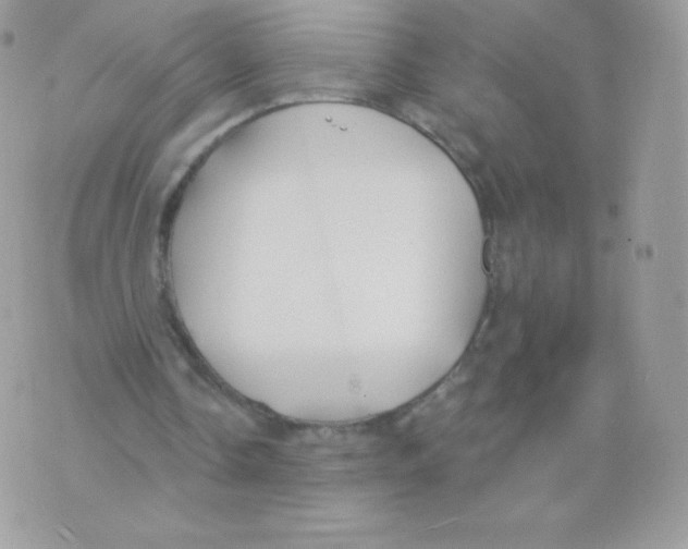 X0000074960338200609291918