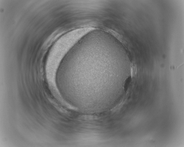 X0000074960339200609291918