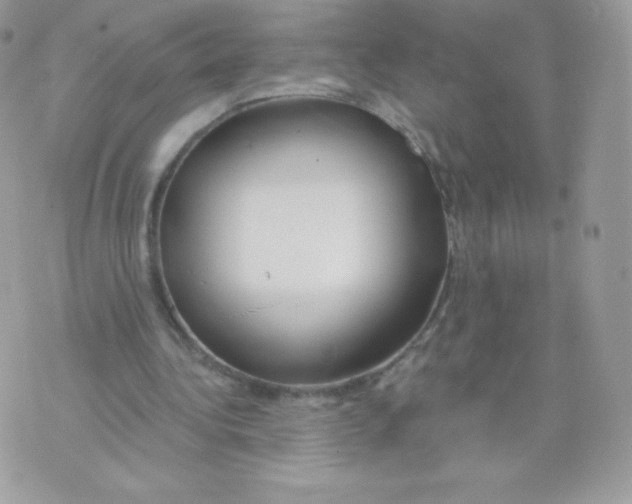 X0000074960340200609291918