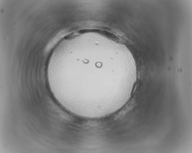 X0000074960341200609291918