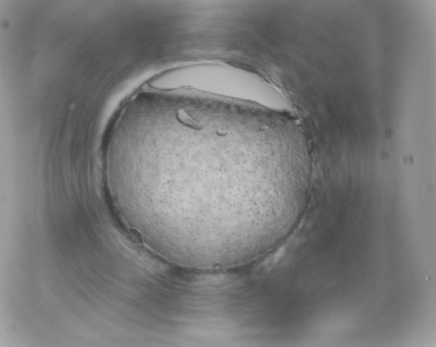 X0000074960342200609291918