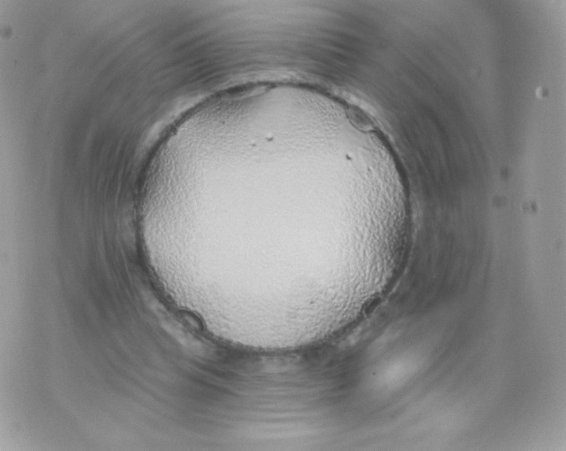 X0000074960345200609291918