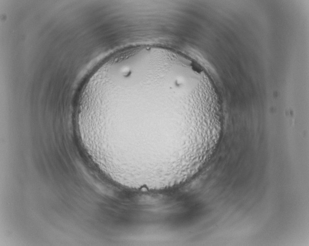 X0000074960346200609291918