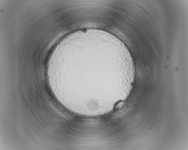 X0000074960347200609291918