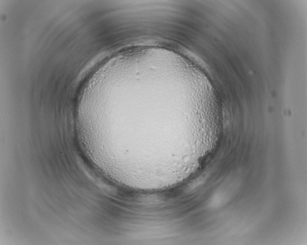 X0000074960349200609291918