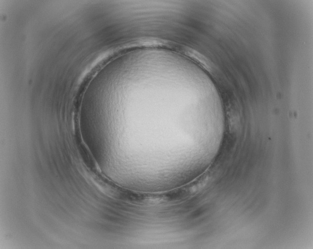 X0000074960350200609291918