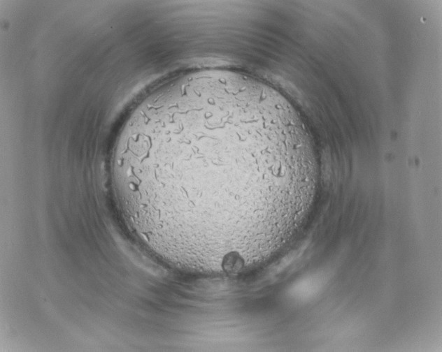 X0000074960351200609291918