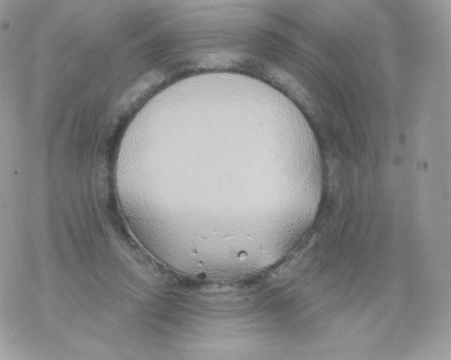 X0000074960354200609291918