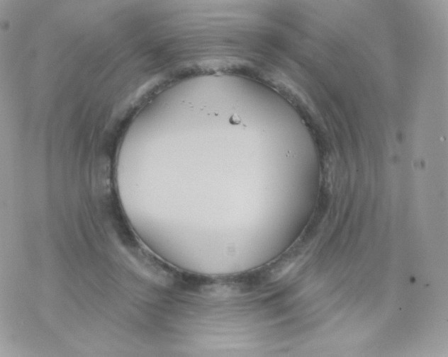 X0000074960356200609291918