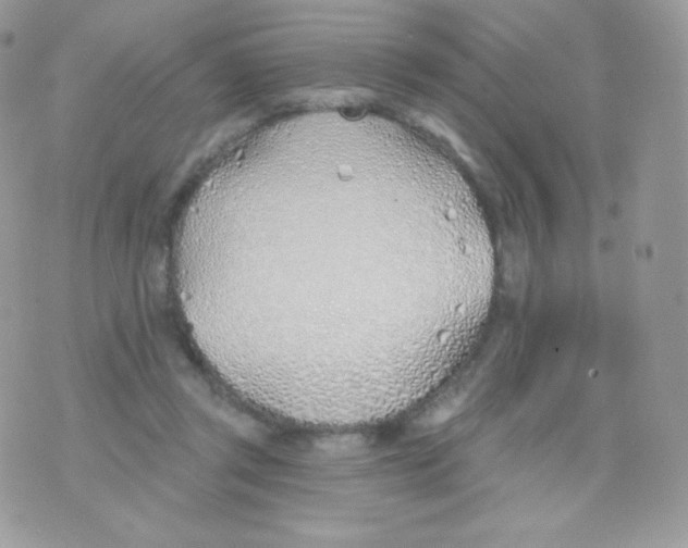 X0000074960357200609291918