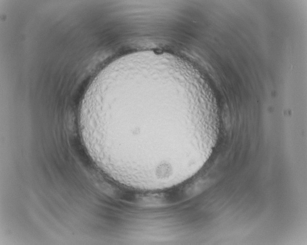 X0000074960359200609291918