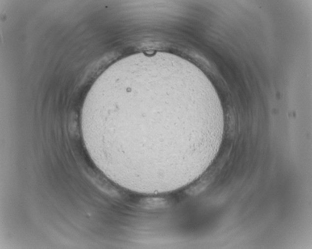 X0000074960361200609291918