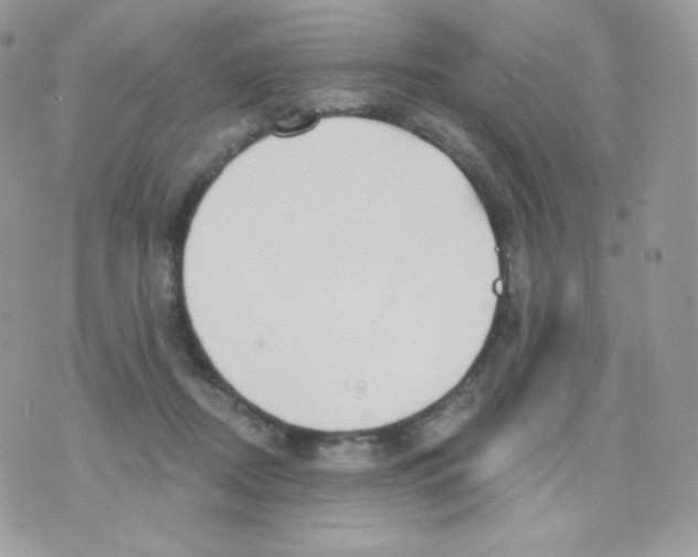 X0000074960362200609291918