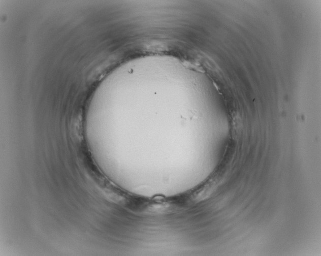 X0000074960364200609291918