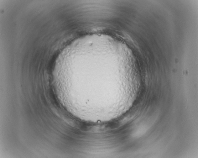 X0000074960366200609291918