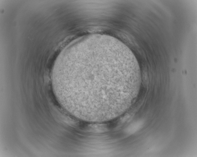 X0000074960367200609291918