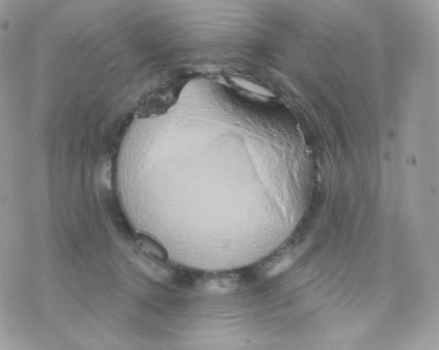 X0000074960368200609291919