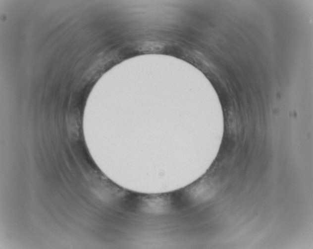 X0000074960370200609291919