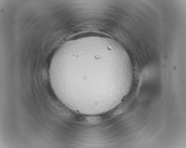 X0000074960371200609291919