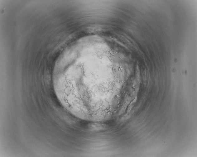 X0000074960372200609291919