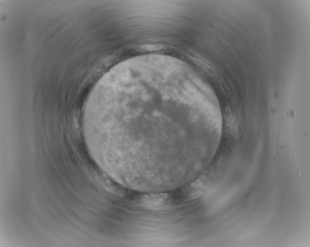 X0000074960373200609291919