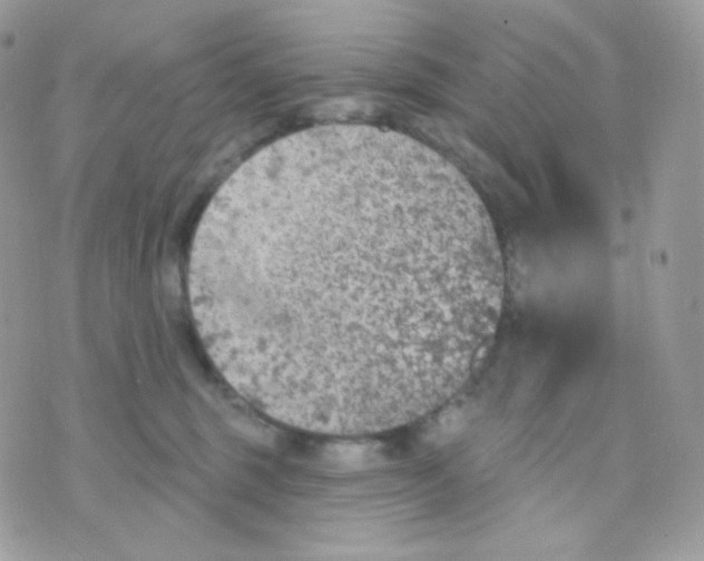 X0000074960375200609291919