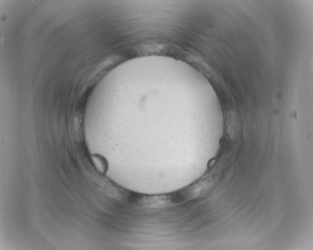 X0000074960378200609291919