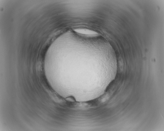 X0000074960379200609291919