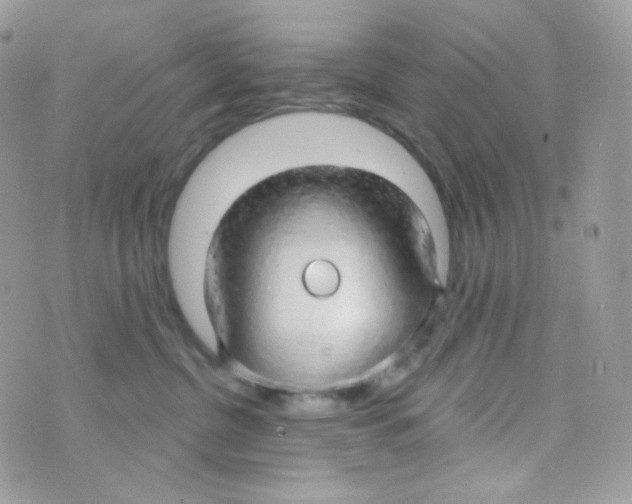 X0000074960380200609291919