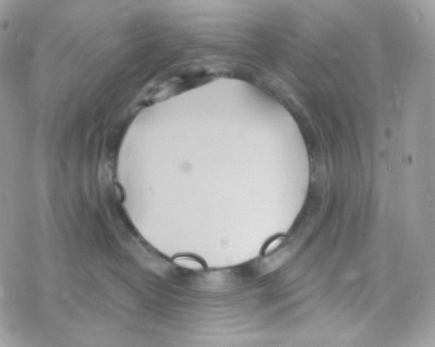 X0000074960382200609291919