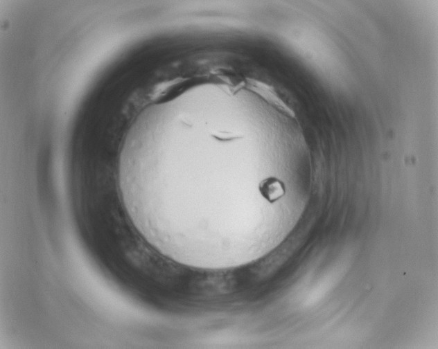 X0000074960383200609291919