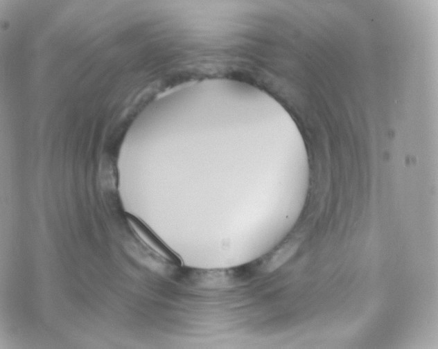 X0000074960384200609291919