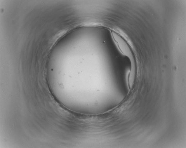 X0000074960385200609291918