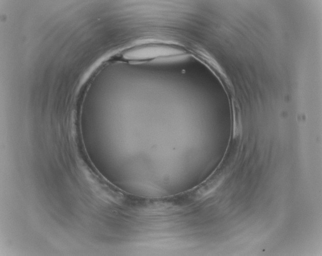 X0000074960387200609291918