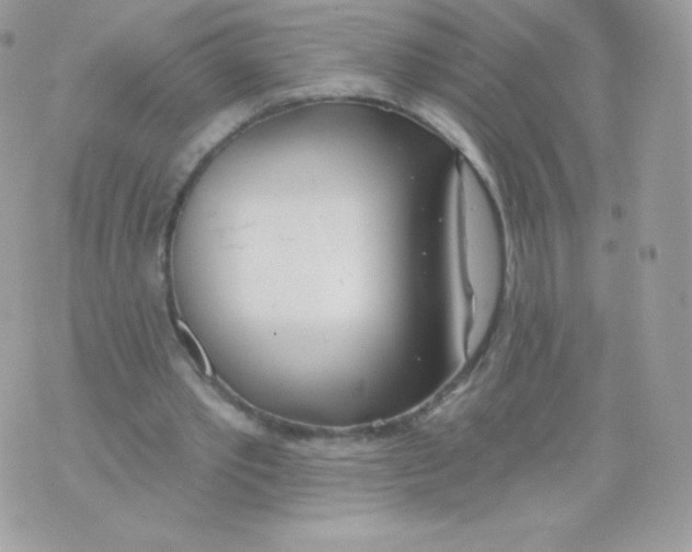 X0000074960389200609291918