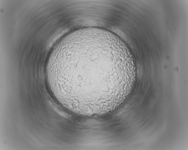 X0000074960390200609291918