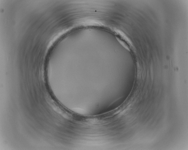 X0000074960391200609291918