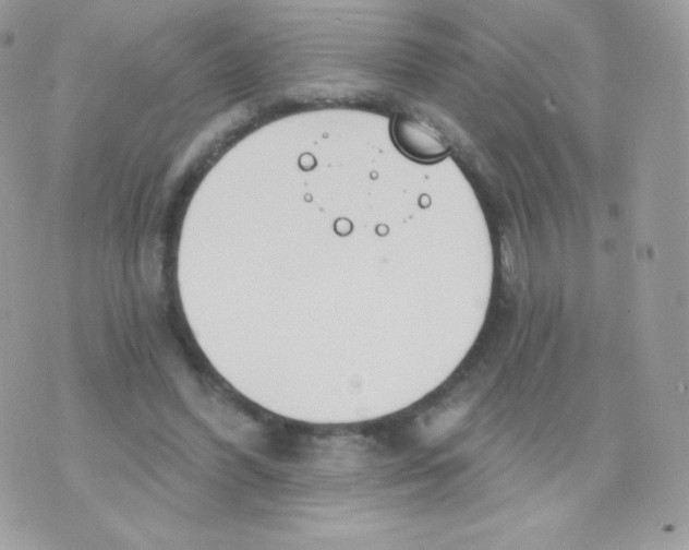 X0000074960396200609291918