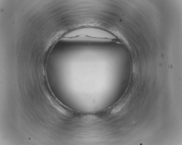 X0000074960397200609291918