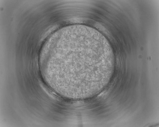 X0000074960398200609291918