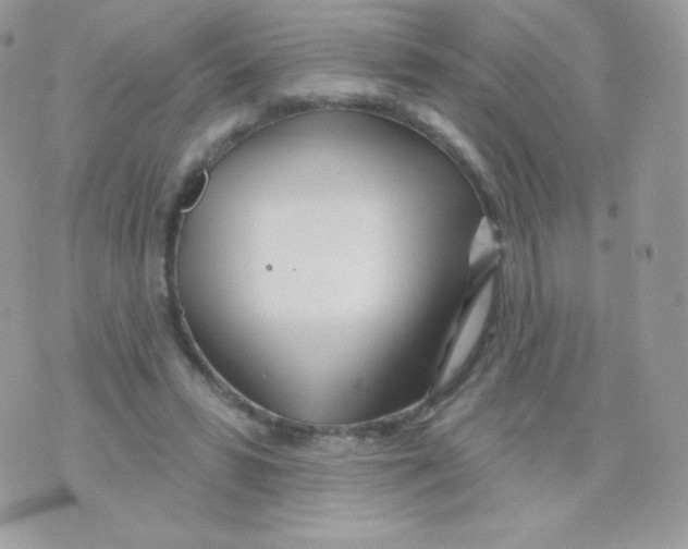 X0000074960399200609291918