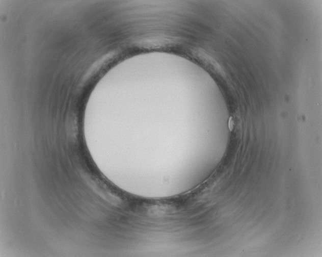 X0000074960400200609291918