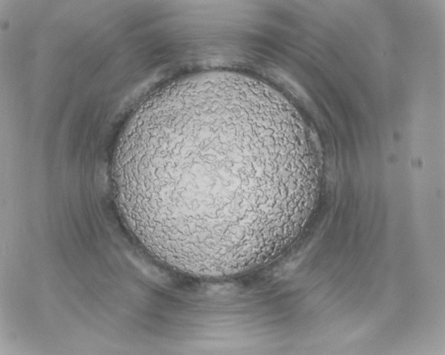 X0000074960401200609291918