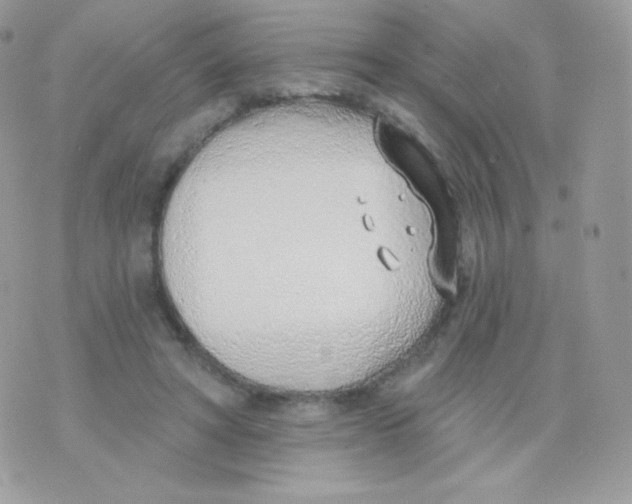 X0000074960402200609291918