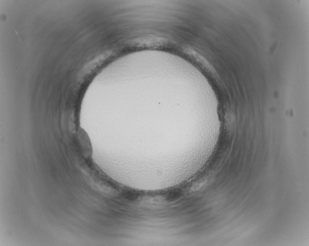 X0000074960403200609291918