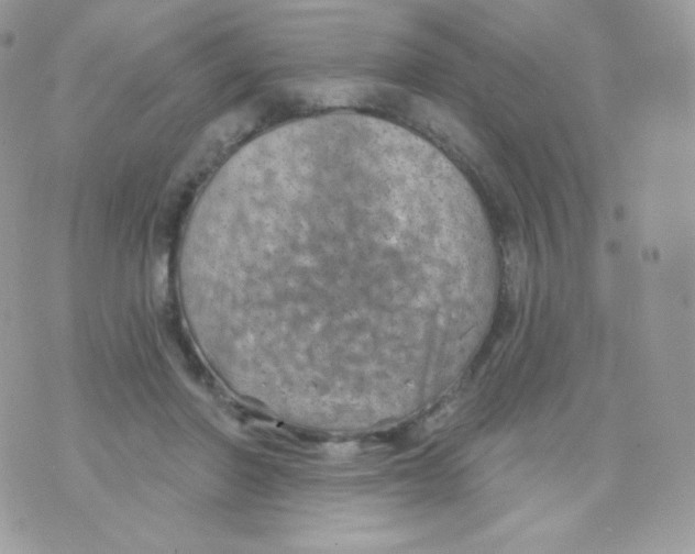 X0000074960406200609291918