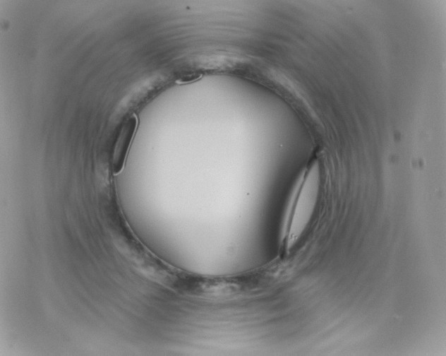 X0000074960407200609291918