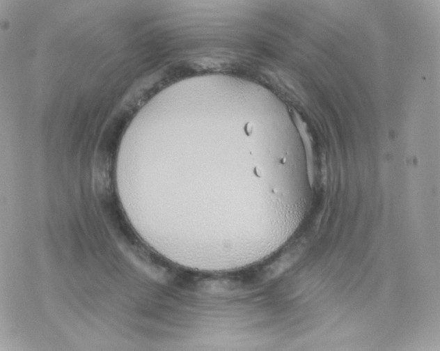 X0000074960408200609291918