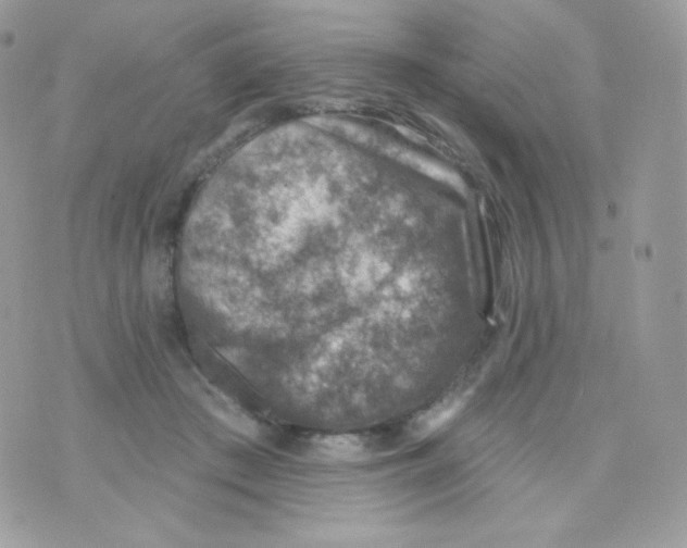 X0000074960409200609291918