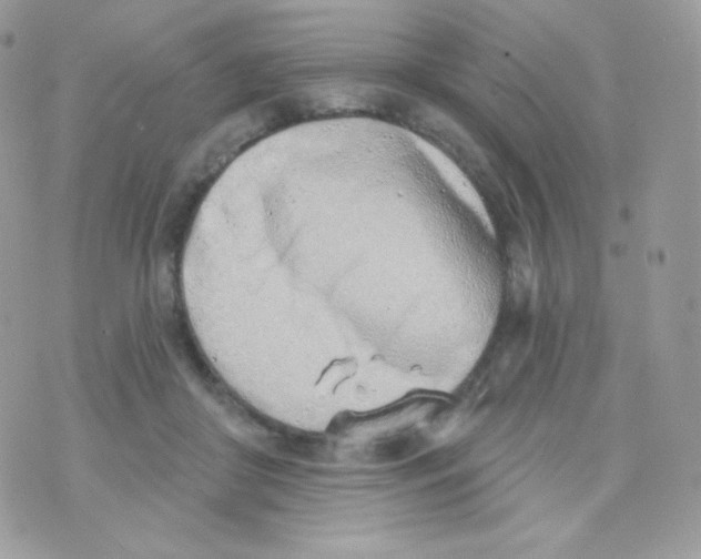 X0000074960410200609291918